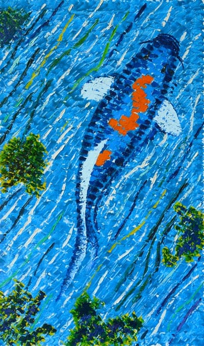 Koi